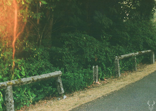 cemetery spectre - 5x7 photo print