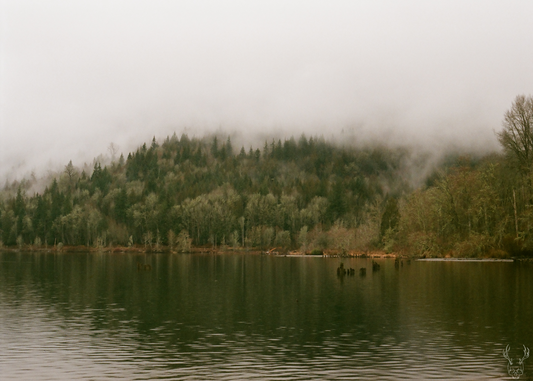 foggy lakeside - 5x7 photo print