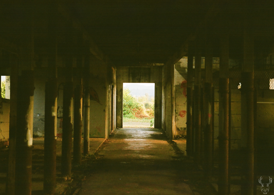 portal - 5×7 photo print