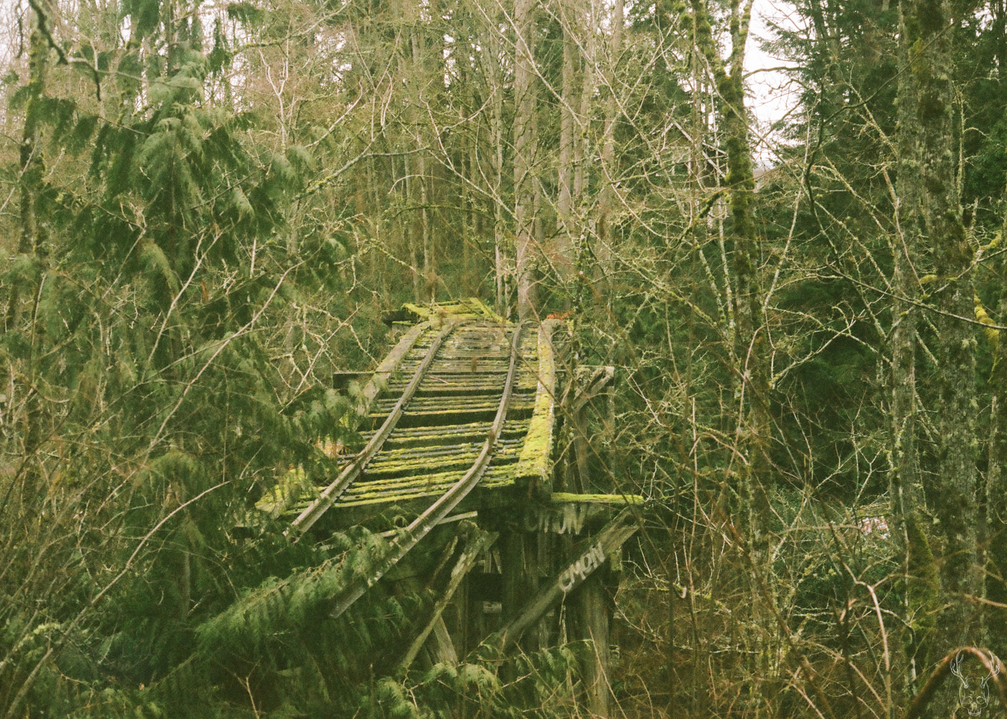 demolished train trestle - 5x7 photo print