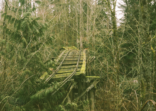 demolished train trestle - 5x7 photo print