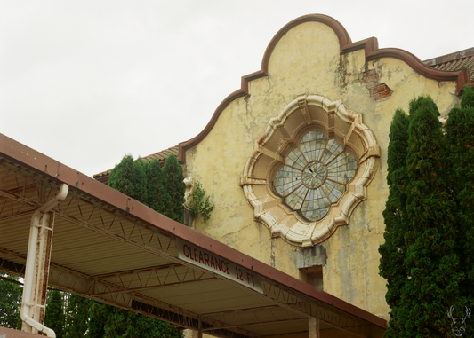 asylum window - 5x7 photo print